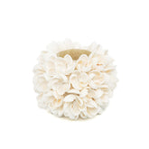 Natural seashell flower candle holder