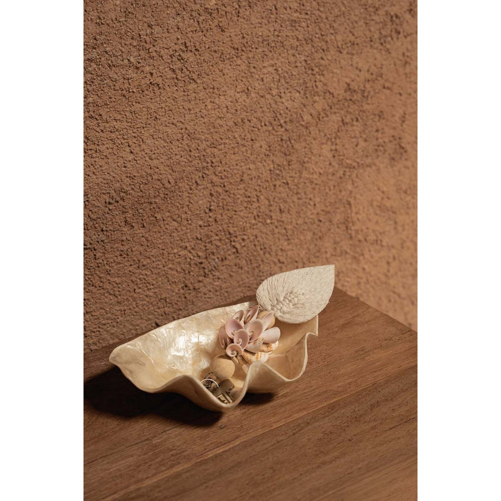 White shell soap dish