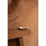 White shell soap dish