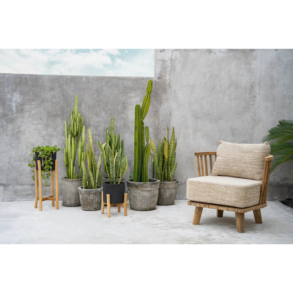 Black terracotta planter on teak branch stand