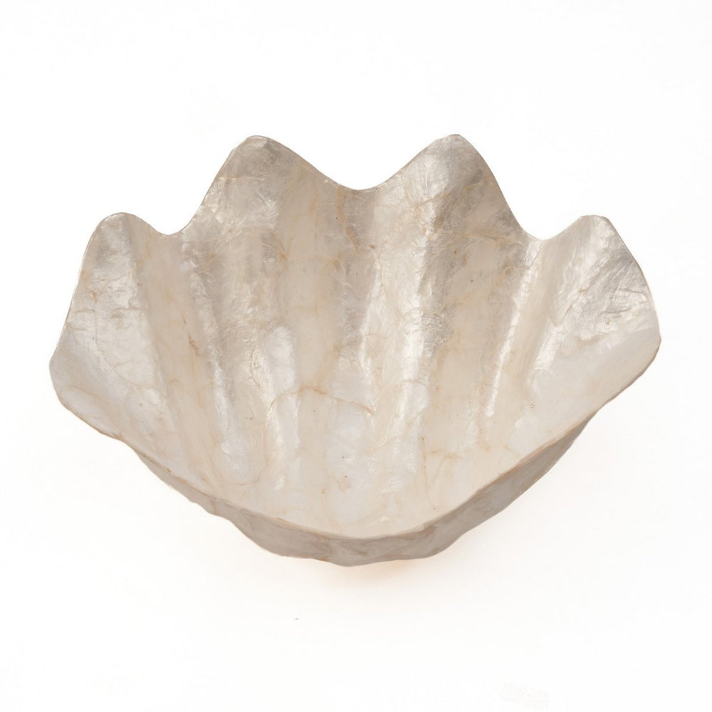 White shell soap dish