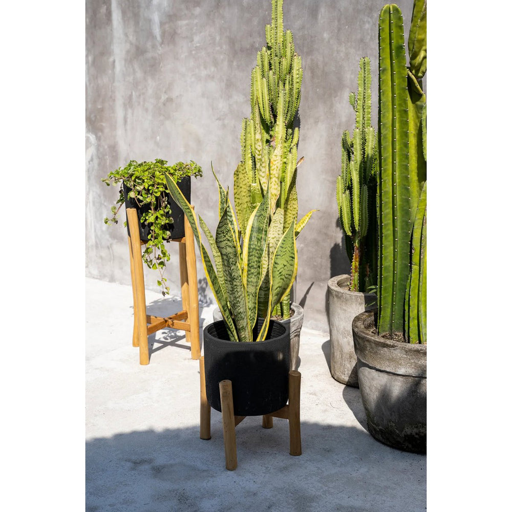 Black terracotta planter on teak branch stand