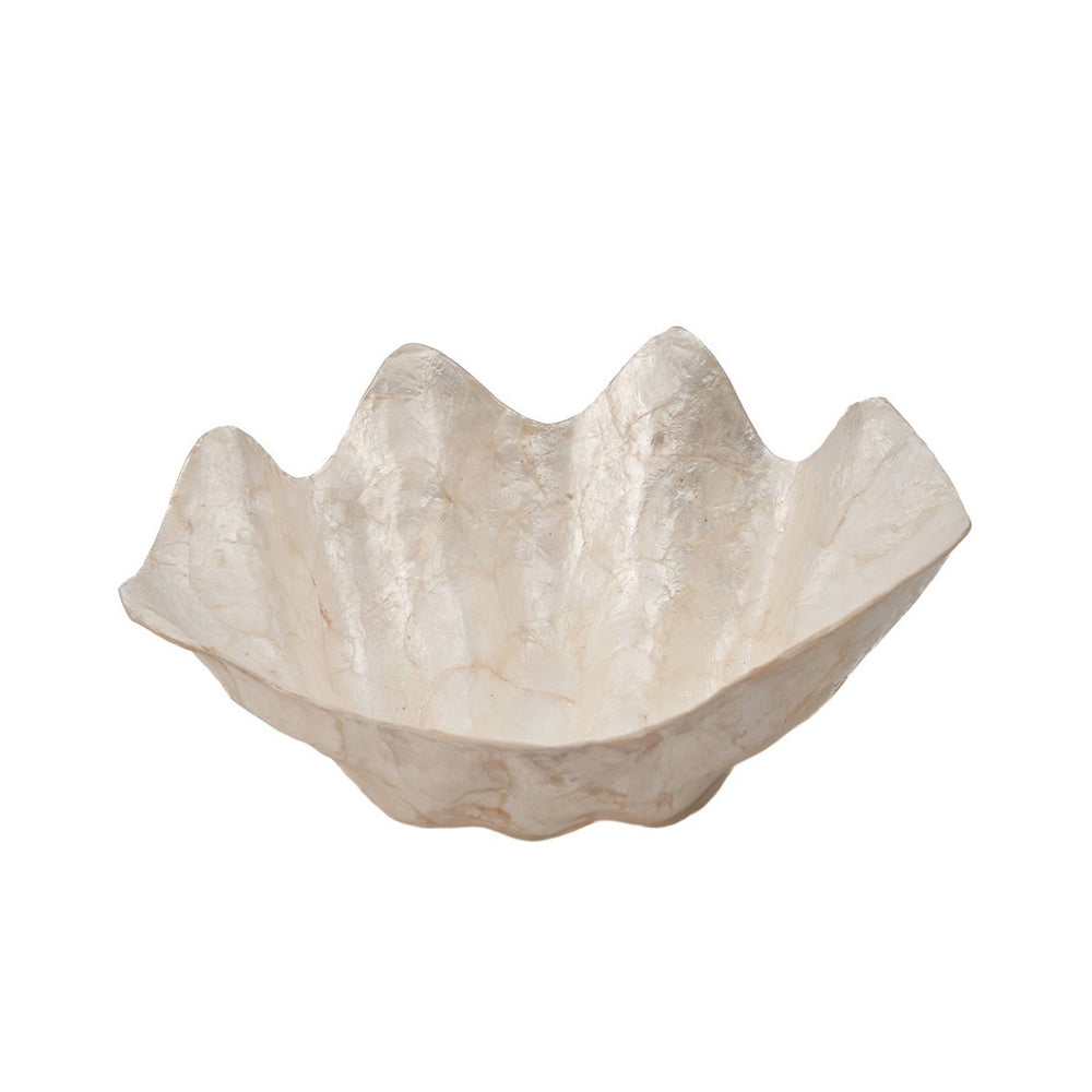 White shell soap dish